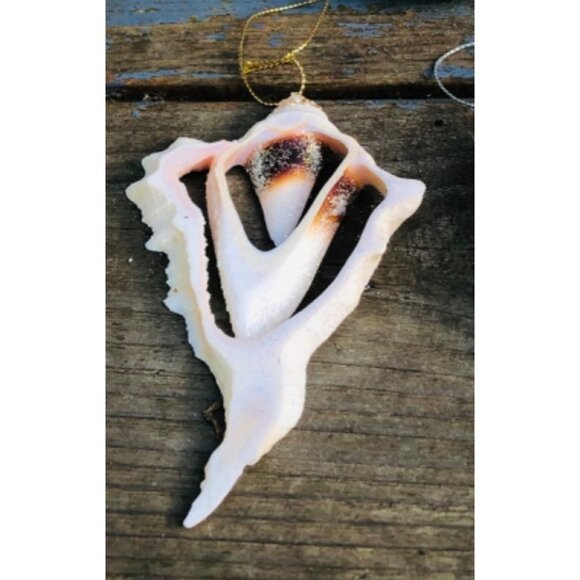 Lot of 5 Handmade Glittered Seashell Christmas Ornaments Angel Murex Clam Coasta - Picture 8 of 11